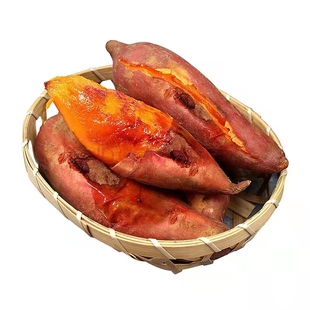 烟薯25红薯苗种蜜薯苗农科院脱毒糖心烤番薯苗地瓜秧高产山芋芽苗