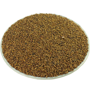 【经方集】菟丝子中药材打菟丝子粉内蒙野生小兔丝子250g/500克