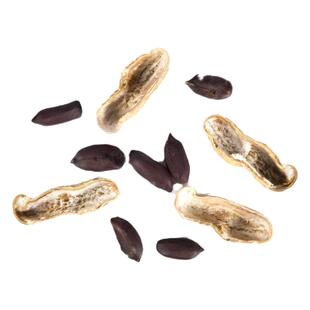 绿宝黑花生种子带壳生吃水果花生做种子云南普洱原味甜老品种花生