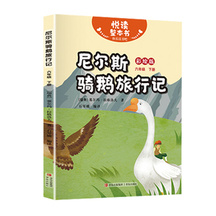悦读整本书 快乐读书吧系列六年级下fb 鲁滨逊漂流记 尼尔斯骑鹅旅行记 汤姆索亚历险记 爱丽丝漫游奇境 青岛出版社