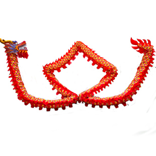 舞龙舞狮服装道具整套灯光龙龙头儿童3号9节国标龙表演道具绸布龙