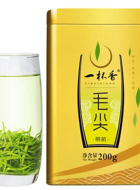 2026新茶一杯香毛尖信阳绿茶200g