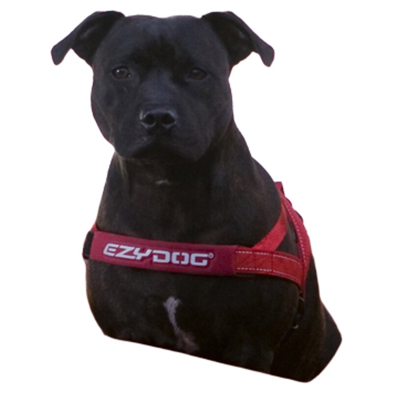 EZYDOG胸背宠物狗快套胸背带柴犬柯基项圈反光牵引绳防爆冲易吉狗