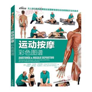 运动按摩彩色图谱  [西]米雷娅·帕蒂诺·科尔 运动损伤 体态矫正指南运动爱好者物理治疗指南书 凤凰新华书店官方旗舰店 正版书籍