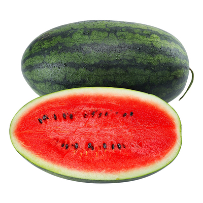 现摘正宗黑美人西瓜！脆甜多汁！