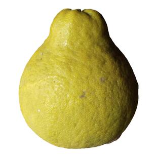 包邮四川合江密溪真龙柚新鲜水果泸州农家蜜柚纯甜柚子带箱18斤