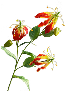家居插花装饰仿真花火焰百合