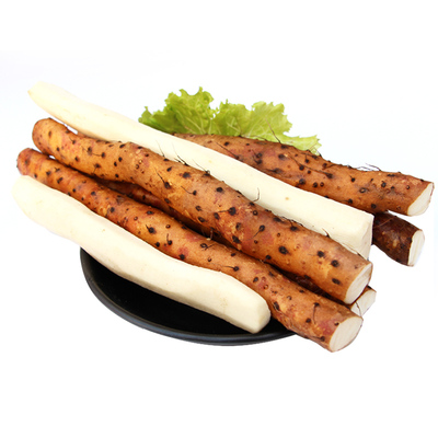 河南省温县土地焦作特产斤装山药