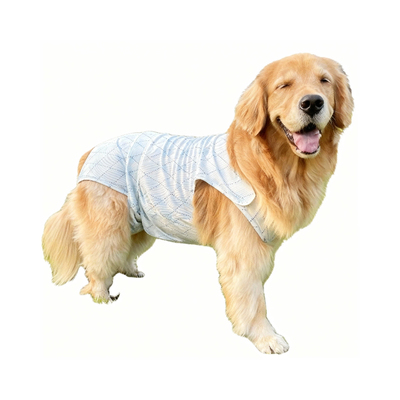 大狗生理裤包肚母狗经期中大型犬