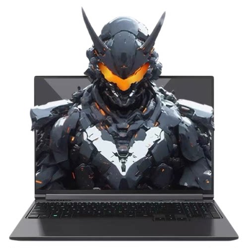 机械革命极光X/蛟龙16Pro/16K/耀世4060/5060 独显游戏笔记本电脑