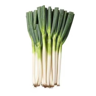 新鲜大葱大葱铁杆长葱正宗山东大葱香葱头当季蔬菜去半叶带皮大葱