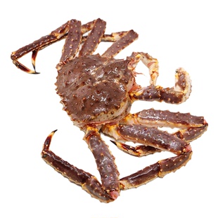 大连同城送货活冻帝王蟹鲜活海鲜俄罗斯进口澳龙礼盒螃蟹腿帝皇蟹