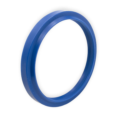 KASTAS进口K103聚氨酯防尘圈双唇