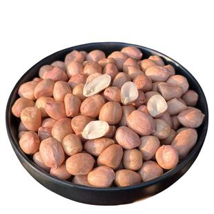 2025年新鲜饱满东北白沙生花生米山东大白沙大颗粒粉皮红衣花生仁