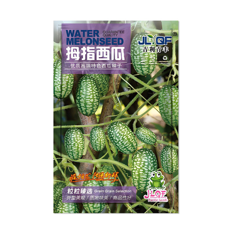 吉利青丰拇指西瓜种子