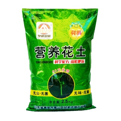 密叶朱蕉太阳神植物盆栽种植土