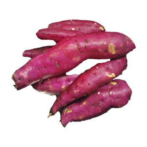 宜兴新鲜板栗沙地小香薯