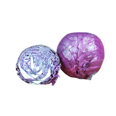 云南高原新鲜紫甘蓝现摘现发