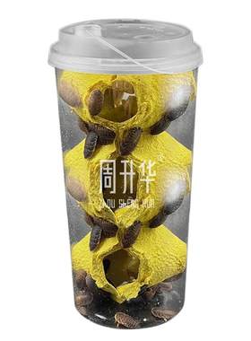 无菌奶茶杯杜比亚蟑螂活虫饲料