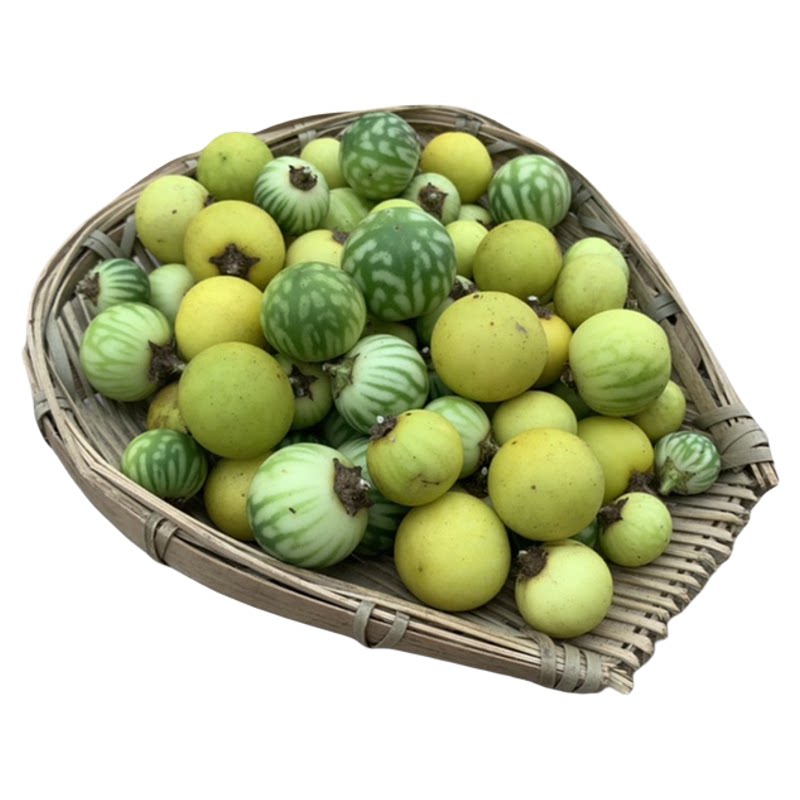 新鲜刺天茄现采黄果茄四川中草药
