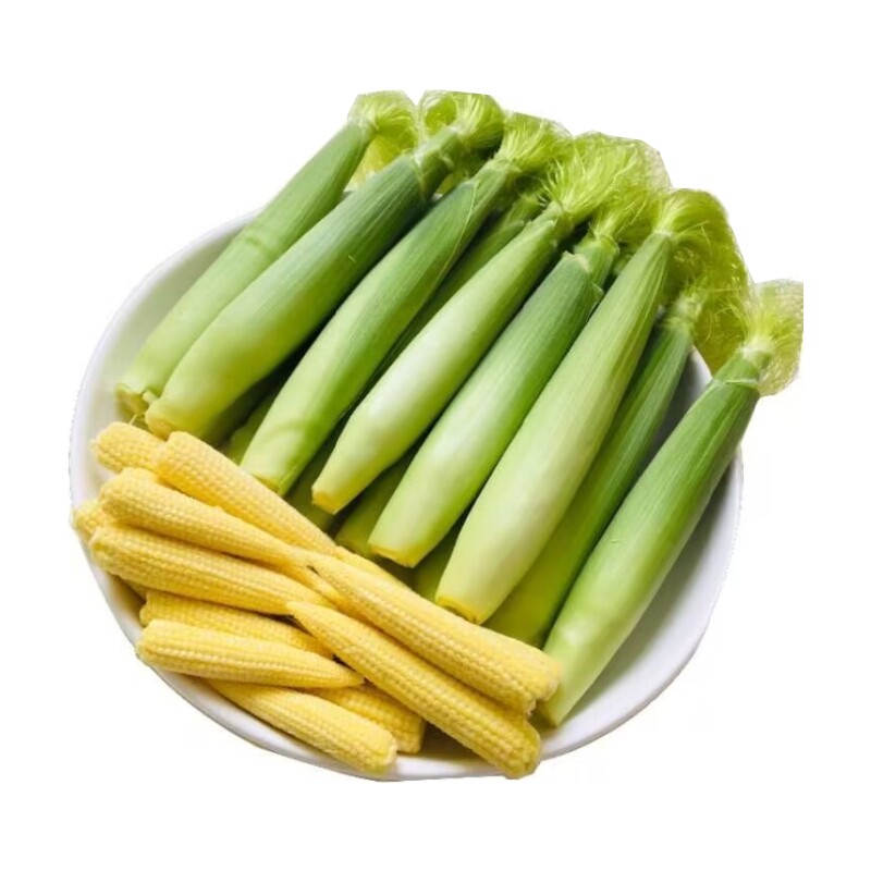 玉米笋新鲜现摘水果甜玉米笋蔬菜