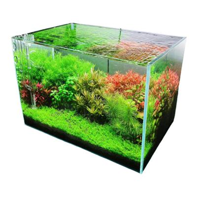 办公桌面小型水草超白生态缸草缸