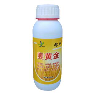 小麦专用肥料麦黄金分蘖肥小麦增产叶面肥氨基酸水溶肥孕穗灌浆肥