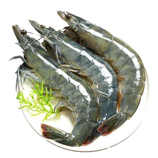 【2030盐冻大虾】新鲜活冻大海虾青虾毛重4斤 净重3.5斤/盒