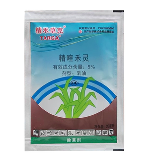 5%精喹禾灵芝麻苗后专用除草剂精奎禾灵芝麻地专用除草剂精禾草克