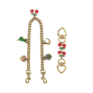 适用蔻驰Juliet25延长链coach朱丽叶30包改造腋下肩带装饰链配件