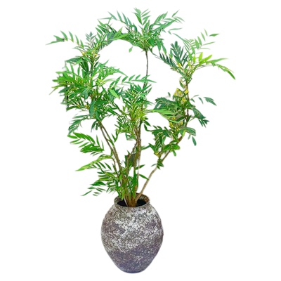 狭叶十大功劳花镜植物耐寒植物