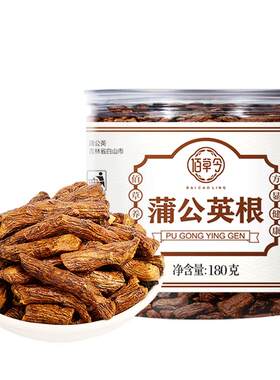 长白山大根切断野生蒲公英根茶