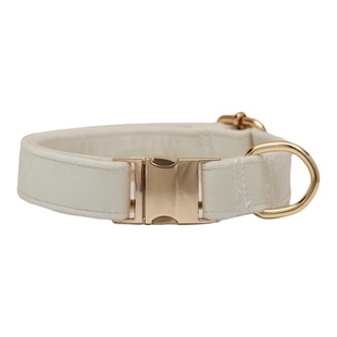 宠物狗狗项圈可调节透气狗脖圈刻字防丢失中型犬柴犬柯基狗绳狗链