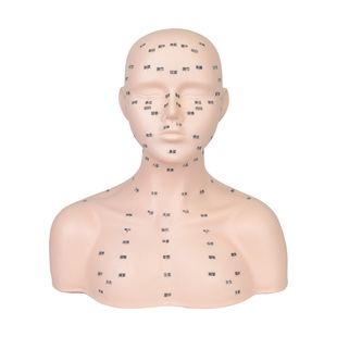 美容院手法练习模特按摩练手专用头模模具皮肤管理洗脸假人头模型