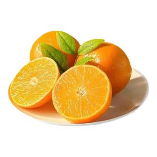 正宗象山红美人柑橘桔子当季爱媛28号果冻橙橘子新鲜水果橙子礼盒