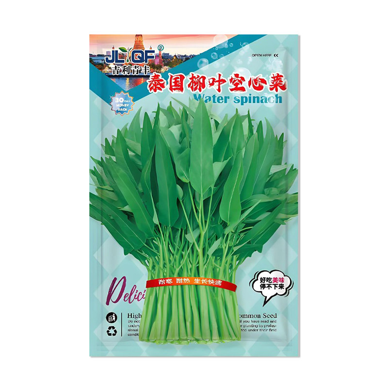 吉利青丰泰国柳叶空心菜种子