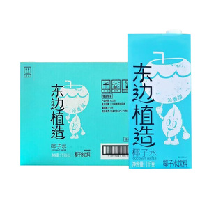 东边植造椰子水椰乳纯椰子饮料开盖即饮咖啡奶茶店商用餐饮整箱
