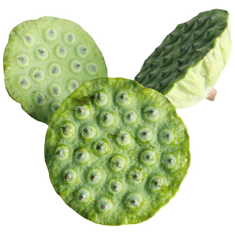洪湖王文娟新鲜莲蓬清甜可口