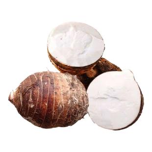 正宗江西母芋头炒丝酸辣脆大芋头新鲜蔬菜农家现挖非香芋槟榔母芋