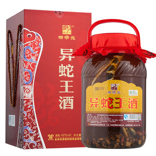 柳宗元牌异蛇王酒蛇酒42度白酒永州特产酒礼品酒 5L