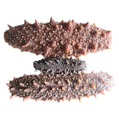 即食海参500克俄罗斯野生