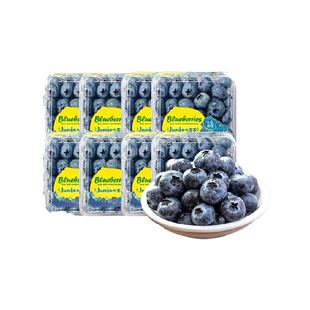 云南高山蓝莓头茬鲜果特大果蓝莓应当季新鲜水果整箱