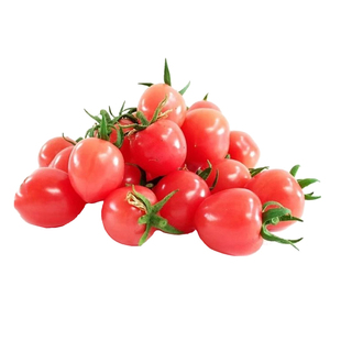 寿光梦想青甜绿色番茄种子苗樱桃西红柿秧苗迷恋圣女果种籽孑四季