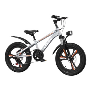 新款儿童自行车男女孩中大童6-8-15岁小学生碟刹变速山地车青少年