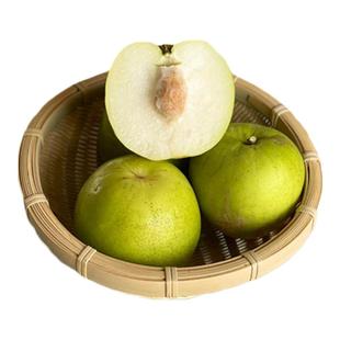 新鲜云南西双版纳苹果牛奶枣纯甜脆大青枣贵妃枣5斤大枣水果礼盒