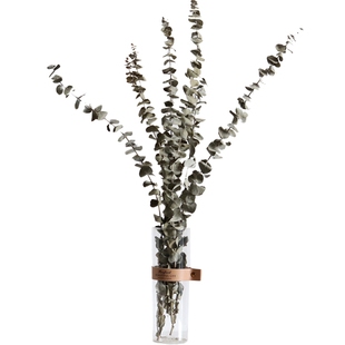 屋里北欧干花大束长枝尤加利叶水培玻璃花瓶摆件陈列绿植客厅装饰