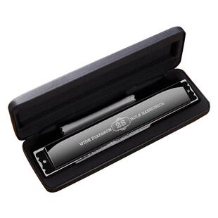 德国进口音簧28孔24孔口琴天鹅复音c调高端专业演奏级官方旗舰店