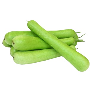 早熟长瓠瓜秧苗春秋季葫芦瓜蒲瓜菜葫芦籽庭院爬藤菜种子蔬菜种孑