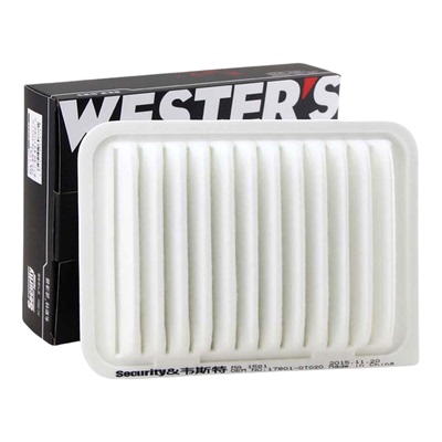 韦斯特滤清器国货之光活性炭滤芯