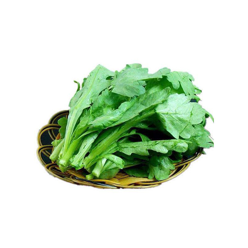 大叶茼蒿菜种子小中叶光杆茼蒿皇帝青菜菊花菜籽种苗秋冬蔬菜种子